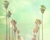 la la land. Los Angeles photograph California palm trees sunny day summer vacation blue mint green fine art print 5x5